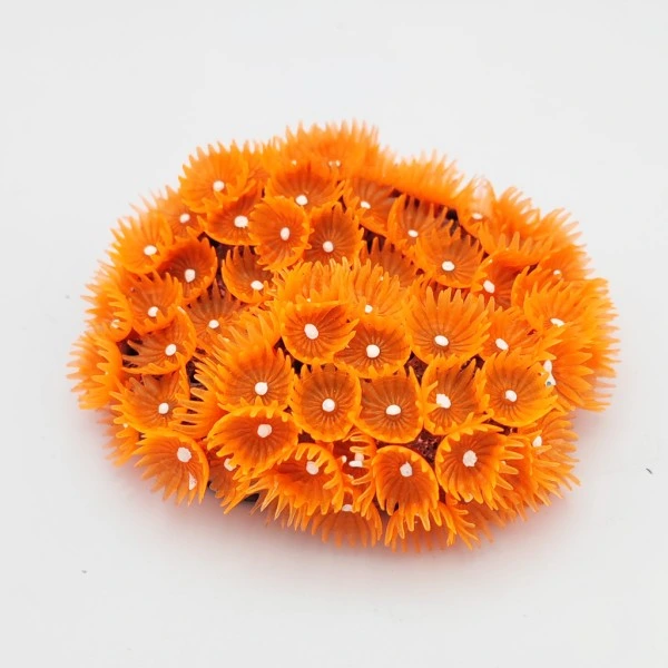 Kunstig koral Zoanthus (Orange)